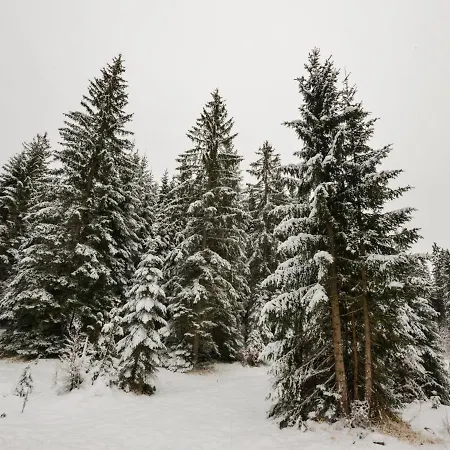 Superb In Tyrol With Meadow Around Appartement *