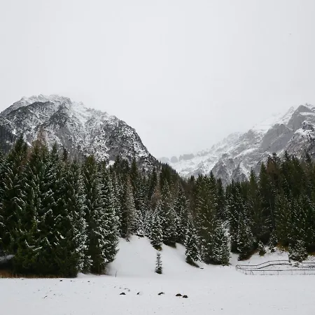 Superb In Tyrol With Meadow Around * Leutasch